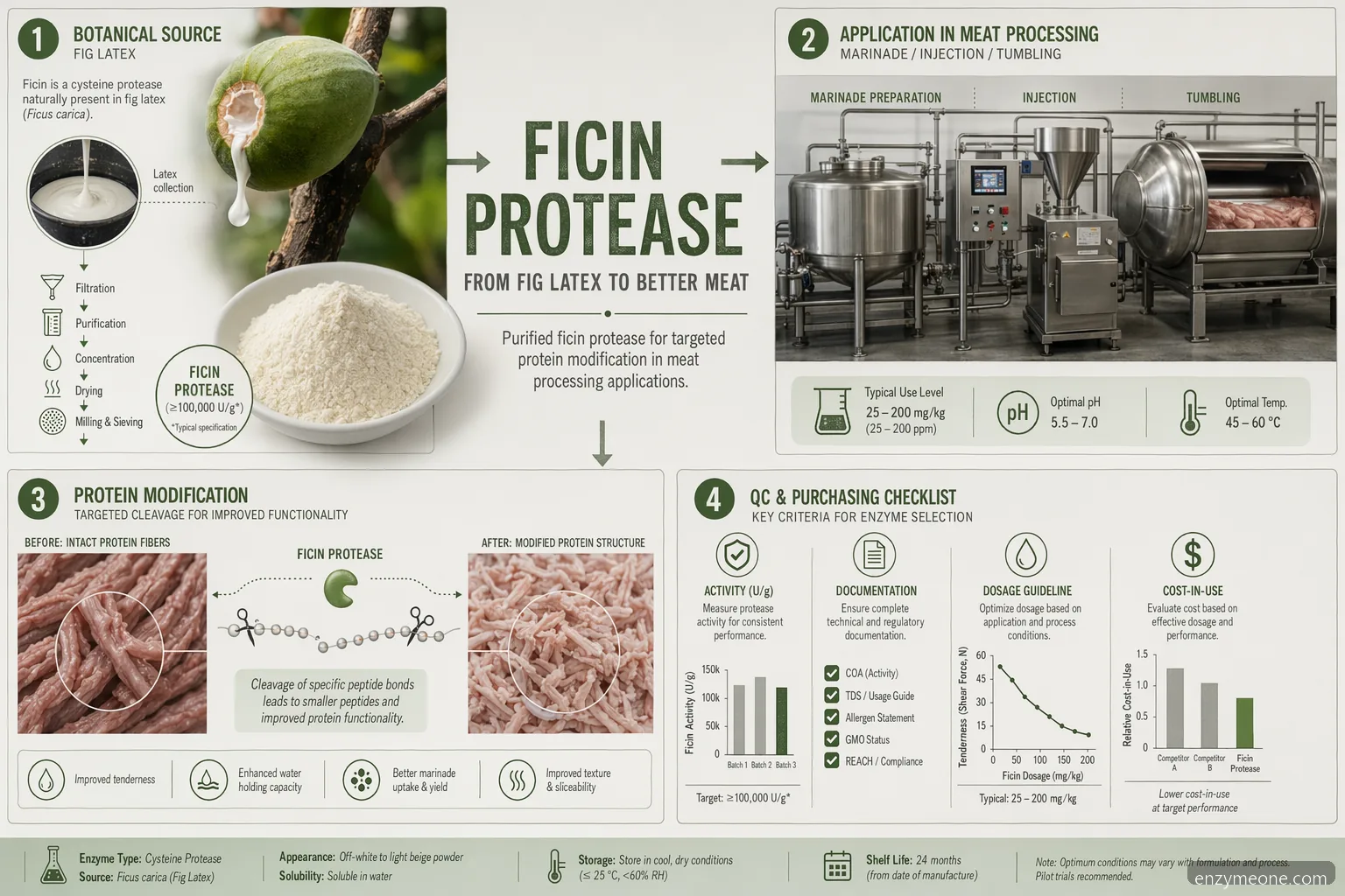 ficin enzyme for meat tenderization formulation guide showing fig protease, process controls, and QC checks