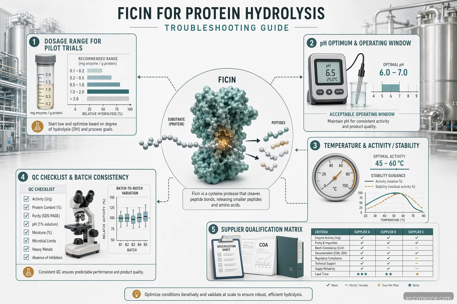 ficin for protein hydrolysis dosage troubleshooting infographic with enzyme, pH, temperature, QC, and supplier checks
