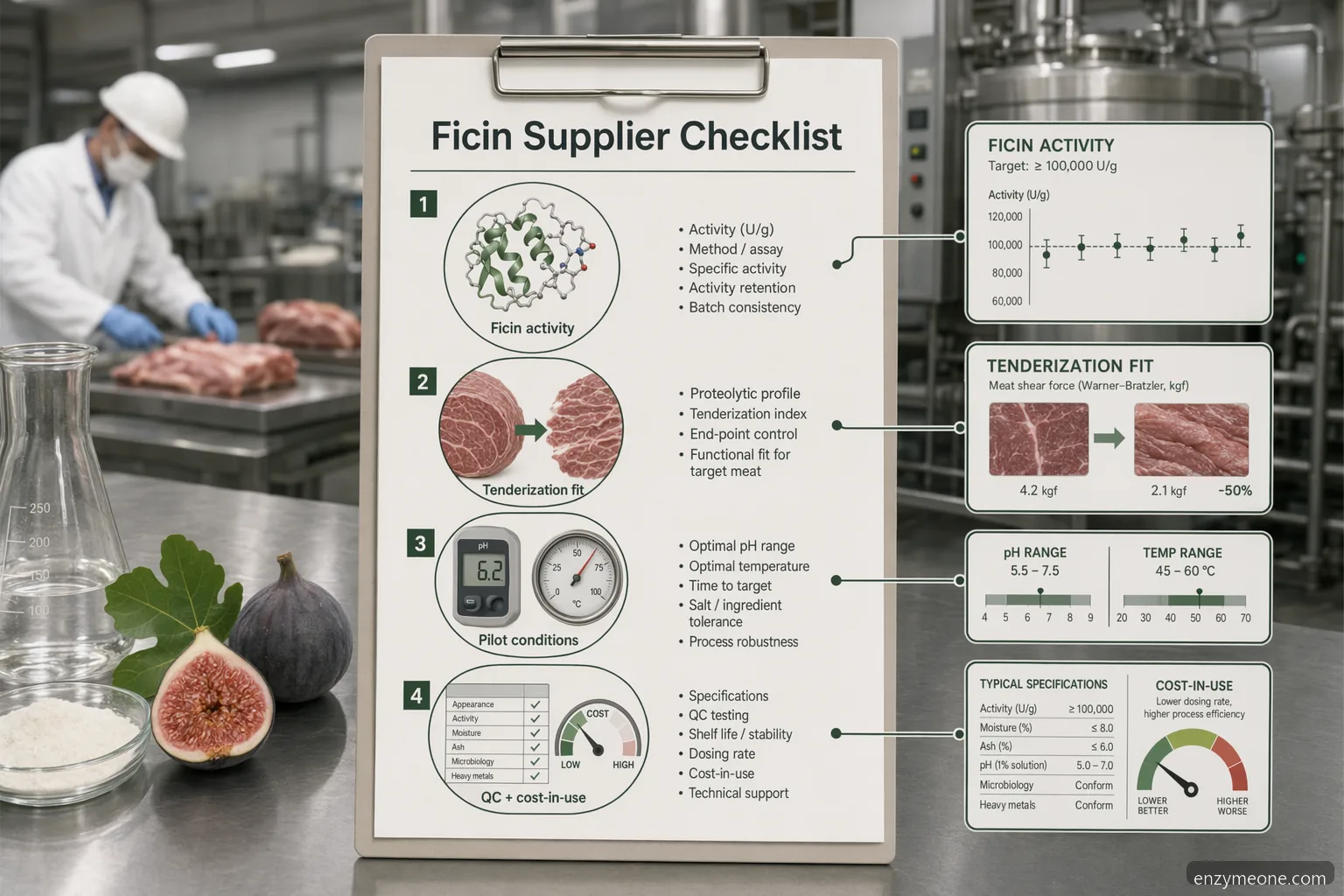 fig enzyme supplier for meat tenderization checklist showing ficin specs, process controls, QC, and cost-in-use