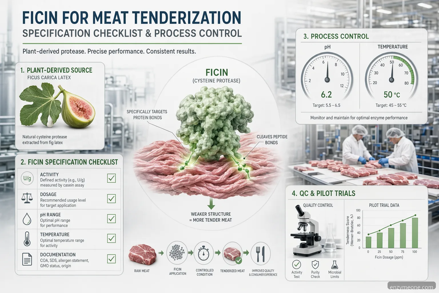 checklist de especificação de Industrial ficin meat tenderization, com atividade enzimática, pH, temperatura, dosagem e ícones de QC
